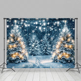 Aperturee - Aperturee Winter Forest Scenes Snowy Path Festive Backdrop